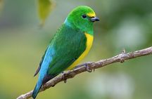 Full Day Private Sierra Nevada Tour with Transport