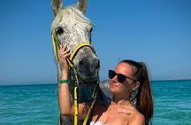 Hurghada: Horseback riding tour Desert & Beach with swimming