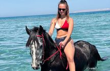 Hurghada: Horseback riding tour Desert & Beach with swimming