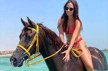 Hurghada: Horseback riding tour Desert & Beach with swimming