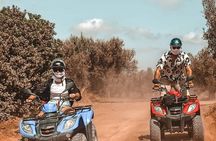 Quad ride on the hills of Hammamet 