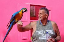 The Ultimate Puerto Plata Challenge: City & 7 Waterfalls