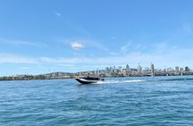  2-Hour Private Montreal Boat Cruise 
