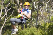 Bali Telaga Waja Rafting & Zipline (Less Stairs)