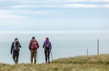 Lyttelton Shore Ex: 3.5 hr Guided Scenic Hike. Transport & Food