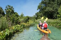 Small Group Rock Springs Run Eco Kayak Adventure