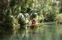 Small Group Rock Springs Run Eco Kayak Adventure