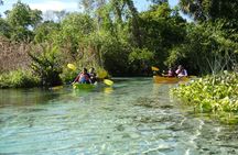 Small Group Rock Springs Run Eco Kayak Adventure