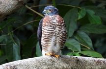 Curicancha Reserve Nature Walk 
