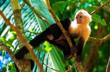 Curicancha Reserve Nature Walk 