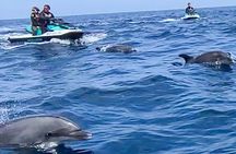 Guided Jetski Adventure to Catalina Island