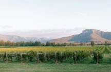 Show Stopper Tour Exclusive Wine Tastings and Fine Dining