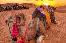 3-Day Merzouga Desert Tour:Atlas Mountains,Camel Ride&Sahara Camp