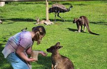 Adelaide Hills Cleland Wildlife Park and Hahndorf Minibus Tour