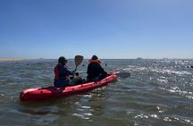 Seal Kayaking and Sandwich Harbour tour