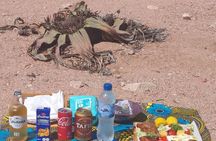 Welwitschia and Sandwich Harbour Tour