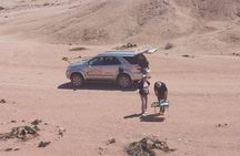 Welwitschia and Sandwich Harbour Tour