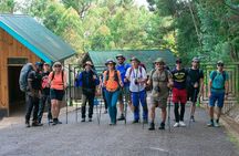 6 Days Machame Route Kilimanjaro Group Hiking and Climbing Tour