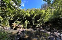 Oahu Waterfall Hike-Garden-Beach Road Trip, Waikiki to Lanikai 