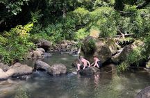 Oahu Waterfall Hike-Garden-Beach Road Trip, Waikiki to Lanikai
