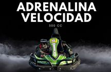 Experience the thrill of karting in Punta Cana