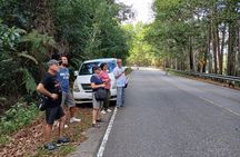 Kampot Exploring Bokor Mountain