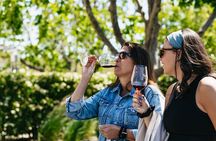 Napa Valley Wine and Food Tasting Tour from San Francisco
