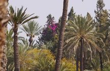 Zagora Desert Adventure – 2-Day Private Luxury Experience
