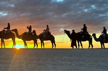 Camel ride in the Agafay Desert in Marrakech and dinner 