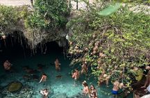 Zanzibar Island: Forest Trails & Turtle Encounters