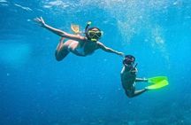 Full-day catamaran tour in Palermo: boat experience with lunch