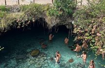 Zanzibar Island: Forest Trails & Turtle Encounters