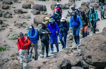 Climb Mount Kilimanjaro in 7 Days 6 Nights Using Lemosho Route