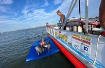  90 Minute Scenic Back Bay Cruise