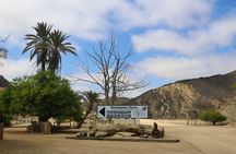 Shore Excursion from the Port of Walvis Bay and many highlights. 