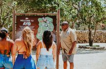 Aruba Natural Wonders Caves and Natural Pool Jeep Tour