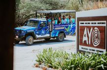 Aruba Natural Wonders Caves and Natural Pool Jeep Tour