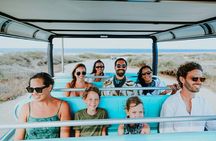 Baby Beach & Mangel Halto Off-Road Safari