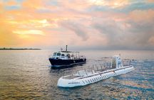 Submarine Atlantis Cozumel Adventure by Day & Sunset