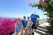 Private Santorini tour: Tailor made 