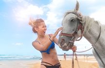 Scenic Horseback Ride + Beach Relaxation