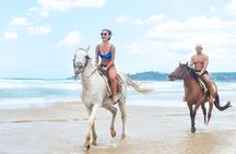 2X1: MonkeyLand plus horseback riding beach in Puerto Plata