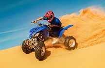Desert Safari Dubai with Dinner , Shows and Camel Rides