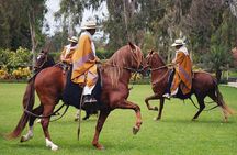 Lima Buffet Lunch, Dance Show and Peruvian Paso Horses