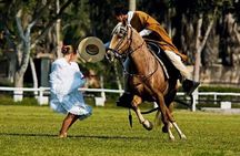 Lima Buffet Lunch, Dance Show and Peruvian Paso Horses