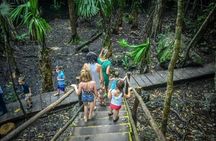 Cozumel Private Tour by Jeep Groups up to 4 People