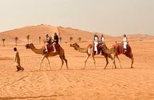 Dubai Sunrise Desert Safari Red Dune Camel Falcon & Sandboarding