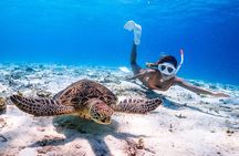 Okinawa Snorkeling Tour Experience