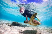 Okinawa Snorkeling Tour Experience