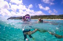 Okinawa Snorkeling Tour Experience
